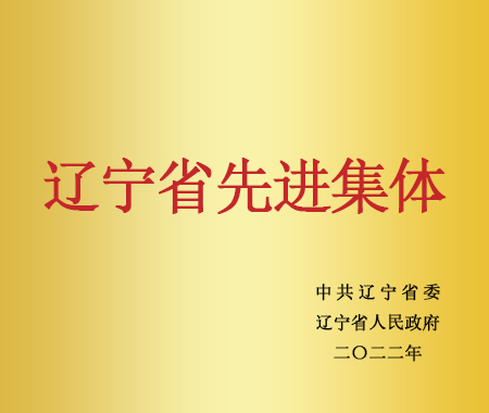 遼寧省先進(jìn)集體